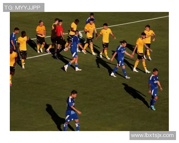 足球明星成龙的粉丝数量究竟有多少引发了广泛关注与讨论